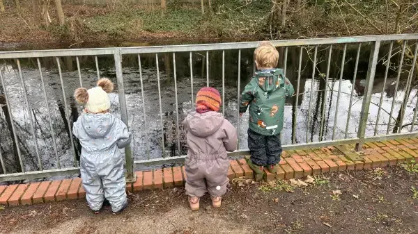 gemeinsam den Teich erkunden